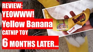 REVIEW YEOWWW Yellow Banana Catnip Toy  6 Months Later [upl. by Kellsie309]