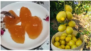 confiture de citron 🍋 مربى الحامض بأسهل طريقة وأنجح [upl. by Eiroc]