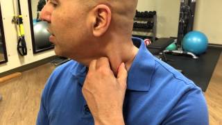 How to selftreat sternocleidomastoid muscle trigger points  trigger point release [upl. by Aeriell577]