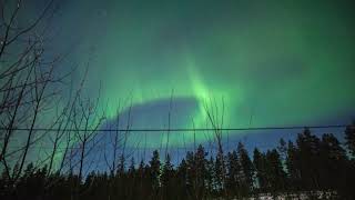 Northern lights Aurora Borealis Winter 2022 Sweden [upl. by Rechaba]