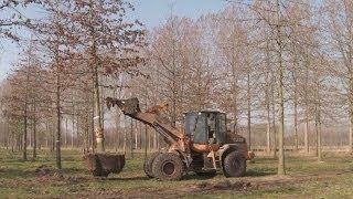 Van den Berk Boomkwekerijen [upl. by Urson]