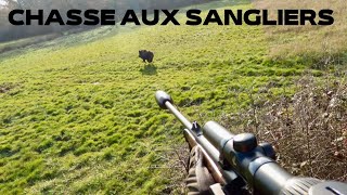 Chasse aux sangliers en Sologne  De superbes scènes   Drivenhunt  Wild boar hunting [upl. by Ceevah560]