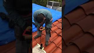 Inspecting for Rodents in Roof Vents  VersaTech® Rodent Exclusion  LA County [upl. by Hallagan]