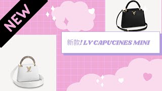 Louis Vuitton CAPUCINES Mini amp BB size [upl. by Mariann34]