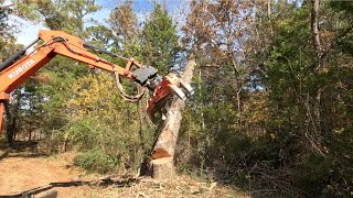 Tree removal and chipping at Plymouth Bluff part 2 [upl. by Adnema]