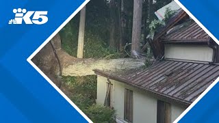 Woman killed after tree falls on home in Bridle Trails during windstorm from bomb cyclone [upl. by Beker]