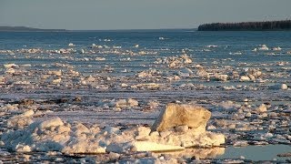 Счастливые люди  Енисей  Весна серия 1  Дмитрий Васюков [upl. by Nitz]