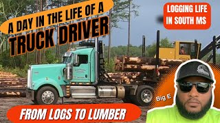 LOGGING LIFE  A DAY IN THE LIFE OF A LOG TRUCK DRIVER  FROM LOGS TO LUMBER [upl. by Tera]