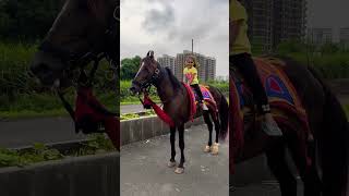 Dhruhi Horse 🐎 Riding  horse horses ghoda horseriding horselover ytvideo shortsfeed dhruhi [upl. by Elazaro452]