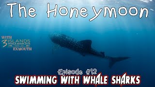 Honeymoonin in Western Australia  Episode 12  Exmouth  Swimming with Whale Sharks [upl. by Illona]