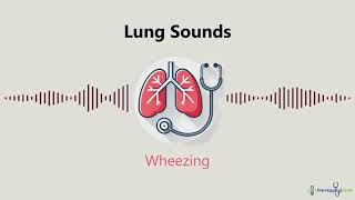 Lung Sounds Wheezing [upl. by Ettevi710]