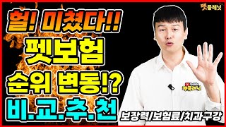 펫보험 순위변동 예상 비교추천보장력보험료치과치료 [upl. by Alrad]