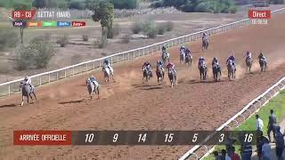 Live Hippodrome « SETTAT »  Courses du « 03102023 » [upl. by Arrek341]