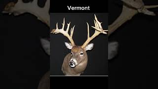 Biggest whitetail in each state part 2 hunting deerhunting monsterbucks [upl. by Bambi]