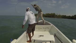 Permit Fishing Caye Caulker Belize [upl. by Sandy]