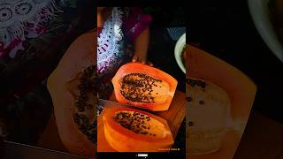 Amazing fresh papaya fruits harvesting [upl. by Marv943]