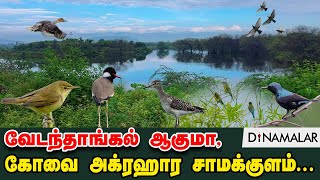 வேடந்தாங்கல் ஆகுமா கோவை அக்ரஹார சாமக்குளம் [upl. by Cristy]