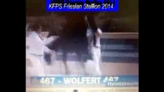 KFPS Friesian Stallion WOLFERT 467 Hengstenkeuring 2014 Google Exclusive [upl. by Devina]