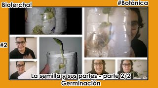 QUÉ es PARA QUÉ sirve y CÓMO HACER un GERMINADOR  TIMELAPSE de germinación de SEMILLAS  Biofercha [upl. by Karim]