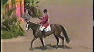 Olympics 1984 Showjumping  Abdullah and Touch of Class [upl. by Naoh]