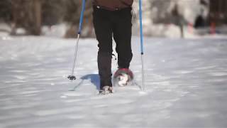 HowtoSnowshoe Learn the basics from the experts  LLBean [upl. by Best522]