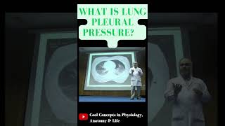 What is Pleural Pressure in lungs 1styearmbbslectures shorts youtubeshorts youtube ytshorts [upl. by Etnuaed236]