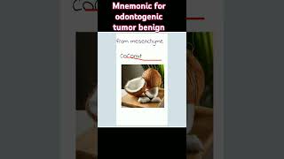 odontogenic tumor mnemonicbenign odontogenic tumor mnemonicoralpathology [upl. by Mylan]