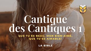 La Bible Cantique des Cantiques 1 Louis Segond biblevision [upl. by Nyleikcaj709]