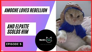 Episode 5 Amoche loves rebellion and Elpatte scolds him😾😾chats funnychats [upl. by Verine562]