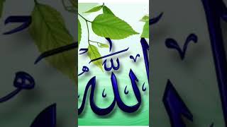 Allah calligraphy trending deen shorts shortvideo video youtubeshorts tariqjamilofficial [upl. by Eleinad]