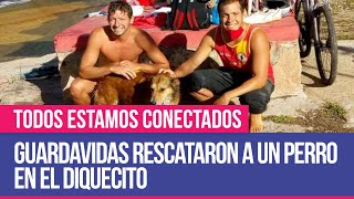 Guardavidas rescataron a un perro en El Diquecito  Todos Estamos Conectados [upl. by Siul]