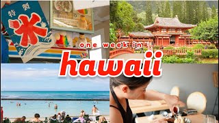 HAWAII VLOG 🌺 Family trip to Honolulu [upl. by Hildie]