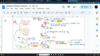 TCell development explained [upl. by Mosera902]