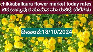 chikkaballaura flower market today rates18102024 [upl. by Alol]