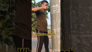 iron punch with Handkungfu martialarts india world [upl. by Rheinlander157]