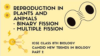 REPRODUCTION IN PLANTS AND ANIMALS  BINARY FISSION  MULTIPLE FISSION  PART 2  ICSE CLASS 8TH BIO [upl. by Clancy]