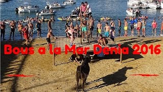 Bous a la mar  Stiere ins Meer Denia 2016 [upl. by Stuart]