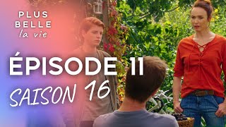 PBLV  Saison 16 Épisode 11  Clément insupportable [upl. by Corsetti]