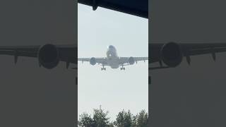 AIRBUS A350941 CORENDON AIRLINES WILLEMSTAD TO AMSTERDAM LANDING SCHIPHOL PLANE SPOTTING ECNZF [upl. by Eitten]