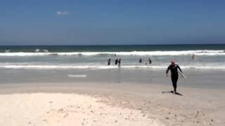 Surfing with Greatwhite sharks cape town [upl. by Ydarg618]