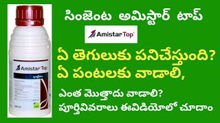 amistar top syngenta fungicide full details in telugu  BB agriculture telugu [upl. by Adnilrem373]