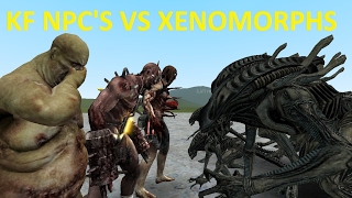 GMOD FIGHTS NPC WARS XENOMORPHS VS KILLING FLOOR [upl. by Almire467]