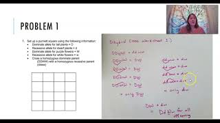 Dihybrid Cross Homozygous Dominant with Homozygous Recessive [upl. by Tabbi]