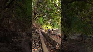 Kerala view ￼Summer Or monsoon view keralamansoon nature travel ￼Mansooriaadilvlogs [upl. by Eenaffit263]