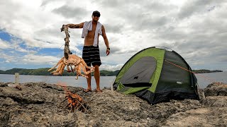 SOLO CAMPING ON A CLIFF WITH NO FOOD Exploring an amazing new island FISH ARE TOO BIG [upl. by Mclaurin994]