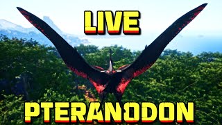 🔴LIVE  Pteranodon Pekr  The Isle Evrima Gateway [upl. by Teddy951]