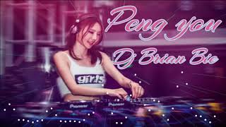 朋友 Emil Chau  Peng You Remix By Dj Brian Bie [upl. by Sagerman309]