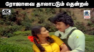 Rojavai thalattum thendral song 4k இசைஞானி இசையில் SPB ஜானகி பாடிய பாடல் ரோஜாவை தாலாட்டும் [upl. by Keverian]