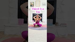 yinyoga yinshorts yogaforbeginners chakras thirdeye ajnachakra yin doglover [upl. by Nnaylrebmik]