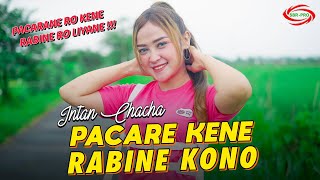 INTAN CHACHA  PACARE KENE RABINE KONO [upl. by Ayita105]